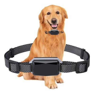 Smart 4G Mini GPS Pet Collar for Dogs-Anti-Lost Two-way Calling BeiDou Navigation IP67 Waterproof Real-Time Tracking 24/7