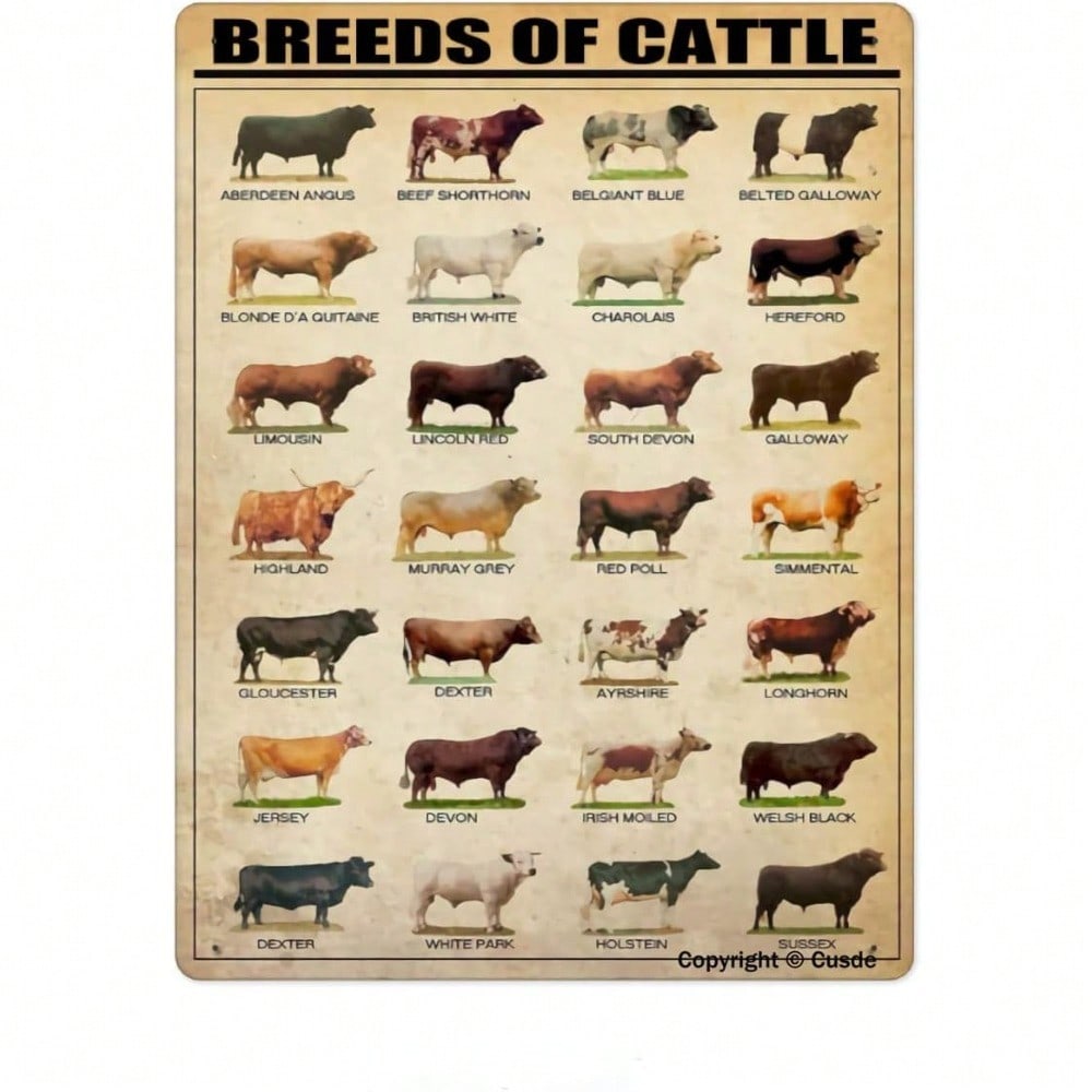 Vintage Metal Tin Sign Rustic Farm Decor Kitchen Bar Wall Art 20x30