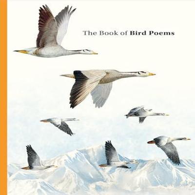 Beletrie – Poezie