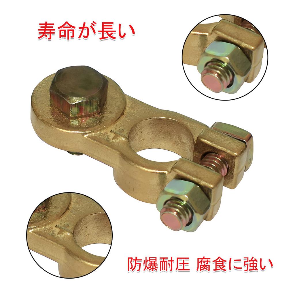 Car Terminal, Large Pole (D Terminal), Terminal for D Symbol Batteries,