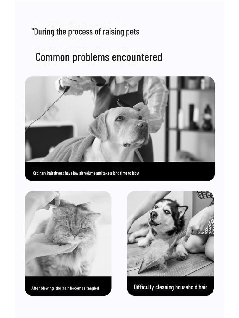 Chaolun Multifunctional Pet Hair Dryer with Blowing and Suction