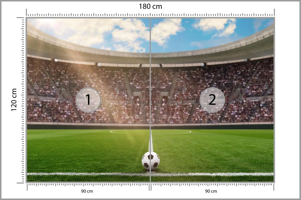 Photomural Soccer Stadium Smooth Vinyl 180x120