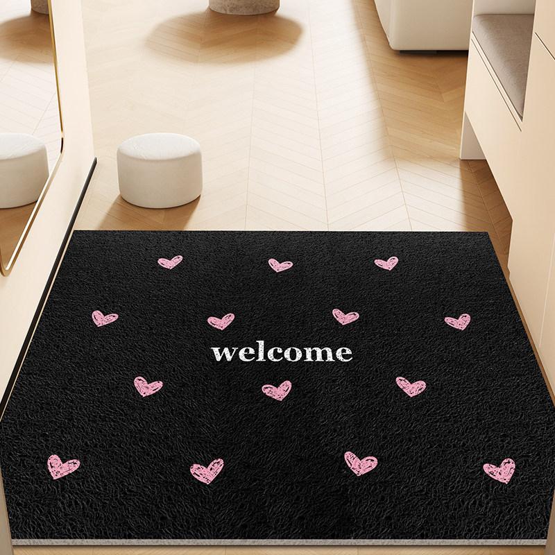 Ins-style Entrance Door Mat Dirt-resistant Wear-resistant Anti-slip Porch Door Mat Toilet Bathroom Drain Pad Living Room Rug