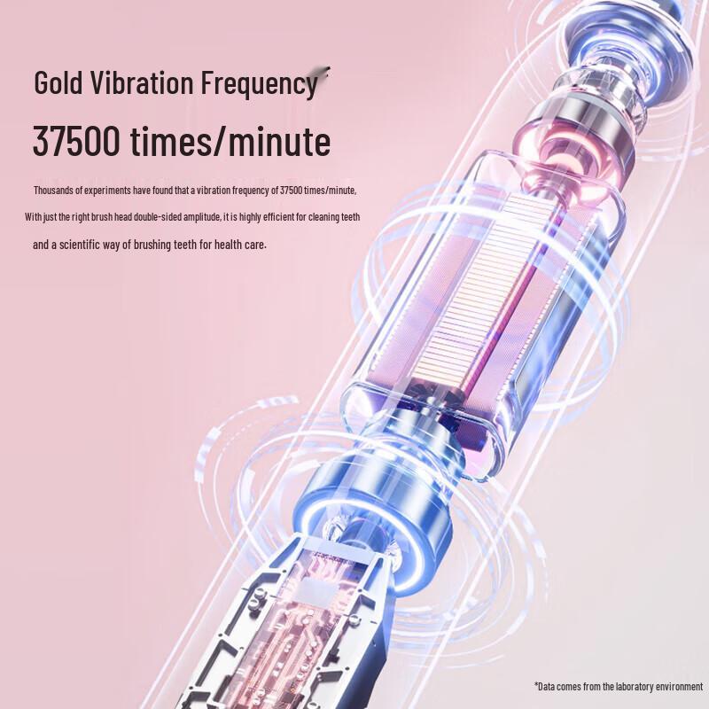 Flyco FT7105 Smart Sonic Electric Toothbrush for Adults