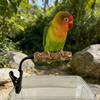 Adjustable Bird Training Perch With Easy Mounting Clip On Design for Cage Table Bird Standing Perch Cage Accessories