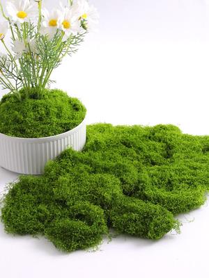 Bionic Moss Turf Arrangement - Fake Moss Lawn Ornaments for Bonsai and Potted Plant Decor