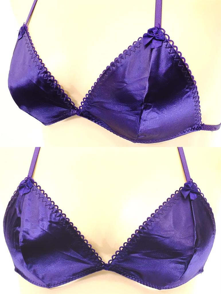 Remote Rotor Micro Bikini with Pocket Tiny Sexy Lingerie Extreme Cosplay Swimsuit Underwear B4HB Purple F [Cat Select] T-Back