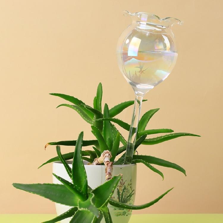 3pcs Self Watering Bulbs Space Saving Watering Globes Irrigation Transparent