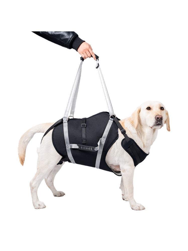 Imbracatura di Sollevamento Regolabile per Cani, Fascia di Supporto per Zampe Posteriori per Cani di Taglia Grande, Ausilio per Anziani, Infortunati, Disabili e Post-Chirurgia ACL