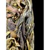 357g Yunnan Pu'er Teekuchen sieben Samen Kuchentee Island Blattgold reiner roher Tee