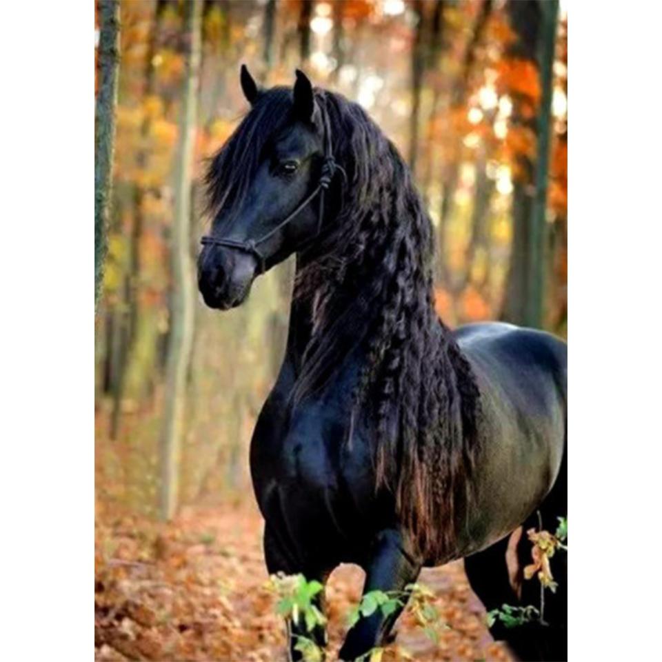 5D Diamond Painting Animal Rhinestone Picture Full Round DIY Diamond Embroidery Horse Cross Stitch Kit Mosaic Home Decoration