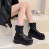 2026 Black Ankle Boots for Women Platforms Shoes Fall Round Toe Punk Shoes Chunky Heeled Ladies Boots Back Zipper Boots Feminina