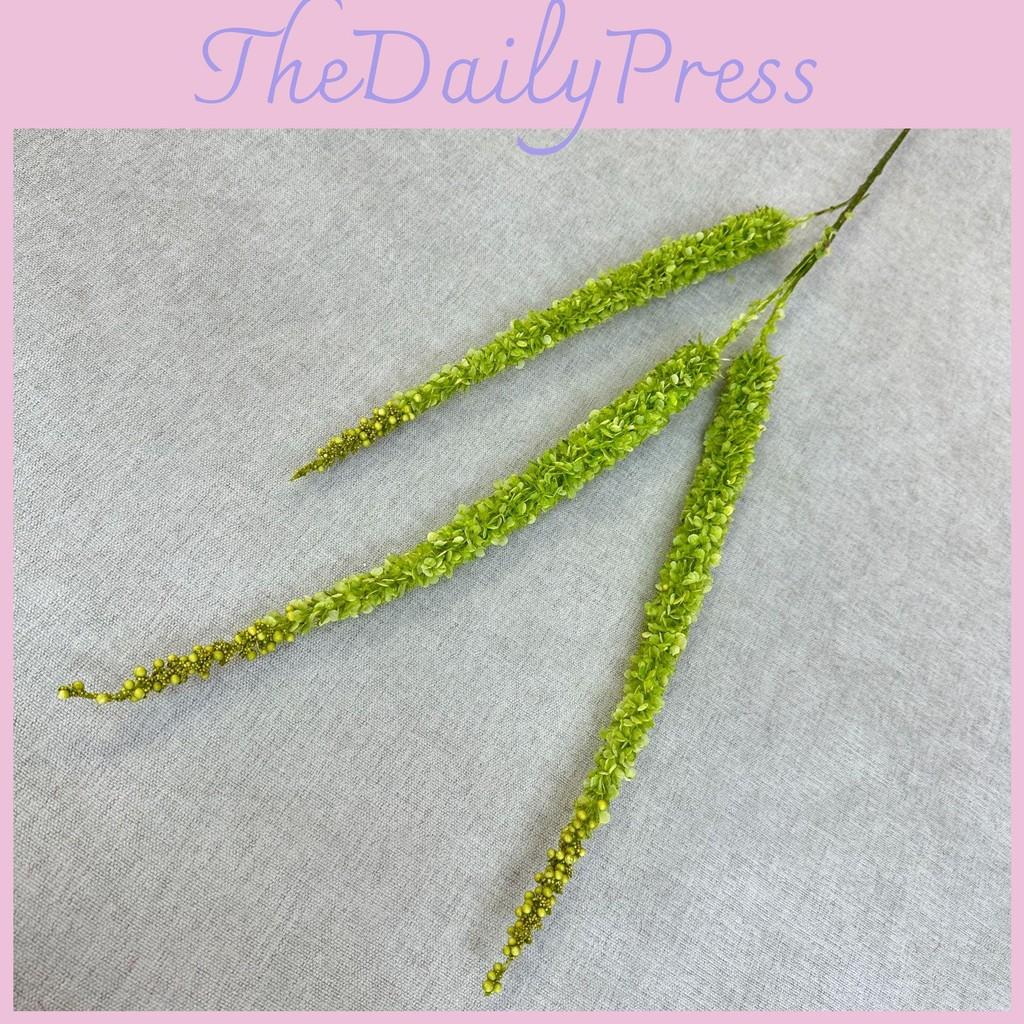 Angustata Typha Artificial Bory Et Chaub Horn Flower Decor For Home Events And