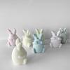 Face-less Rabbit Candle Mold Diy Cover Your Eyes Mouth and Ears Rabbit Aromatherapy Candle Gypsum Incense Stone Mold
