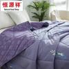 Hengyuanxiang Soft Summer Quilt