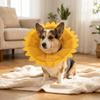 Soft Foam et Recovery Collar Adjustable Fit Anti-Lick Neck Ring  Daily Wound Care