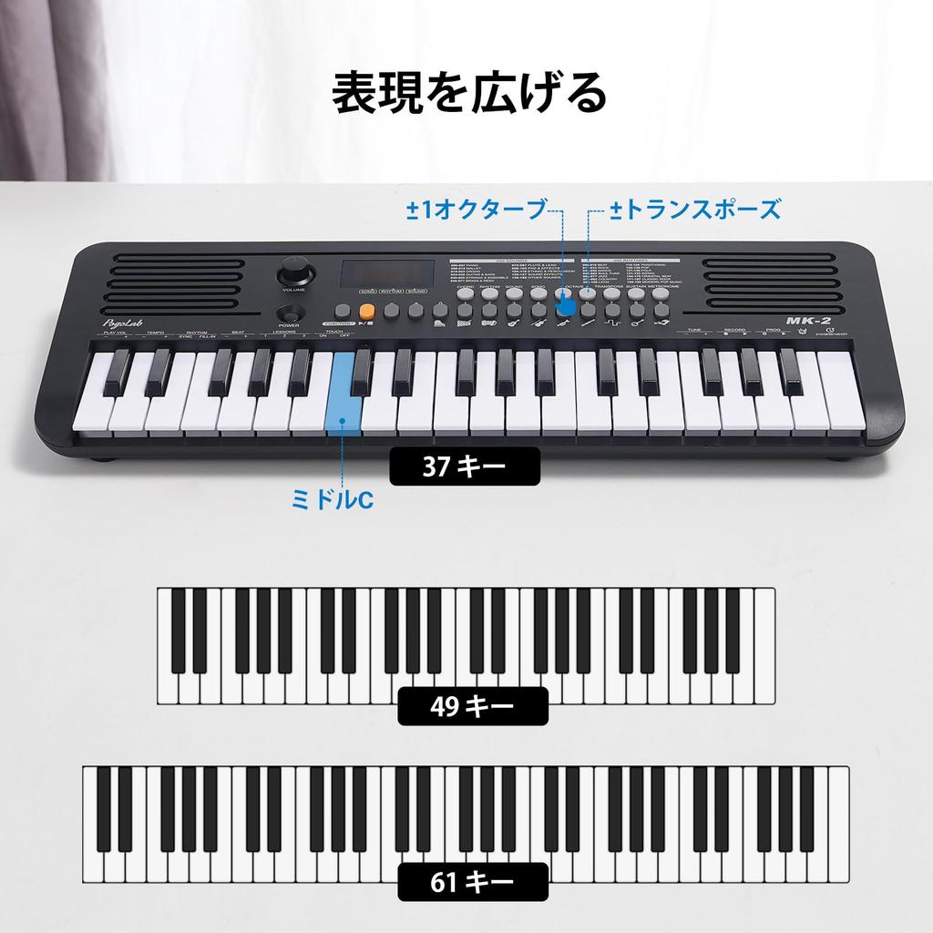 Mini-Keyboard-Piano, elektronisches Keyboard, 37 Tasten, 40 Lieder, 200 Noten, 200 Rhythmen, Digitalpiano mit MIDI-Funktion, tragbares elektronisches Piano xx, Schwarz