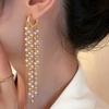 1Pair of Long Women's Fashion Pendant Earrings, French Temperament Elegant Style Imitation Pearl Fringed Pendant