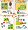 Hanayama Toy Awards 2023 Communication Toy Category Excellence TAKUMI ZOO Board Game 267mm X 191mm X 43mm Board Game Made by Elementary School