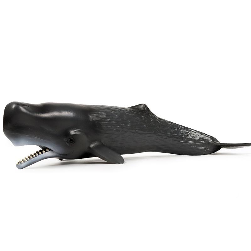 

Детская когнитивная имитация кашалота, твердая игрушка для морских животных, пластиковая статическая модель 24*8*5CM