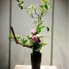 Adjustable Flower Arrangement Fixing Tool Ikebana Branch Fixer