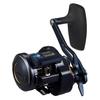 Daiwa Jigging Baitcasting Reel 25SALTIGA IC 300HL-SJ-C