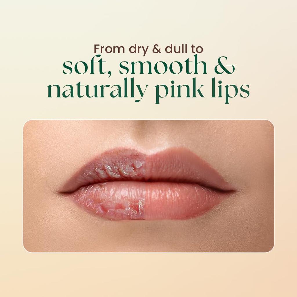 Moha Lip Scrub for Pigmented Lips with Shea Butter, Honey, Vitamin C & E 12gm Pack | Gently Exfoliates, Brightens & Restores Natural Lip Color