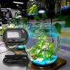 Mini High Precision Fish Tank Digital Thermometer Blue Compact Waterproof Aquarium Thermometer Large Screen Accurate Temperature