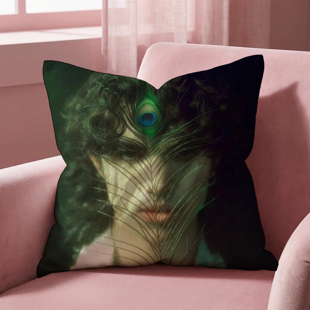 

Conan Gray Holidays Cushion Cover Multi-Scene Pillow Cover for Home & Car - Reversible, Soft & Durable for Daily Use 30cmx30cm
