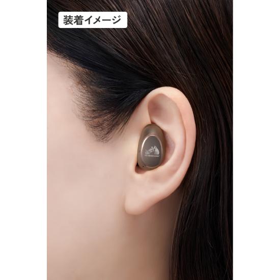 JVC Victor Wireless Earbuds Noise Canceling Bronze HA-FX550T-N