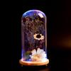 DIY Teacher's Day Preserved Flower Glass Dome with Light - Modern Home Decor