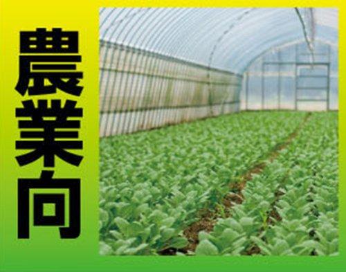 Shinwa Sokutei Digital Thermometer G-2 Two-Point Remote Measurement, Waterproof, 73046