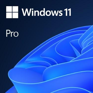 MS Windows 11 Professional 64bit Inglese 1pk DVD OE