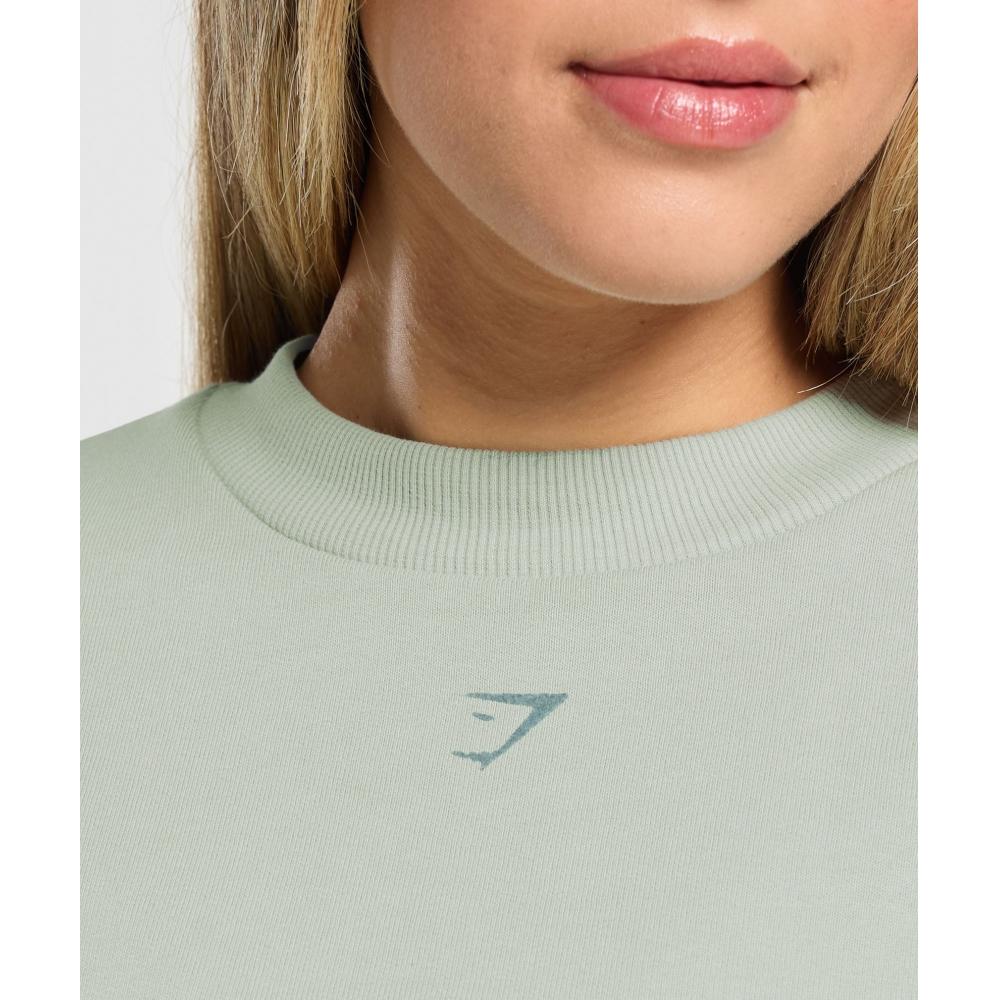 Gymshark Campus Classics Graphic Sweatshirt Stone Grey B2b1z Gb7s