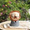 Animal Planter for Succulents Plants, Cute Panda Bear Lion Flower Pot Decorative Garden Figures Home Tabletop Decor 18cm/ 7inch