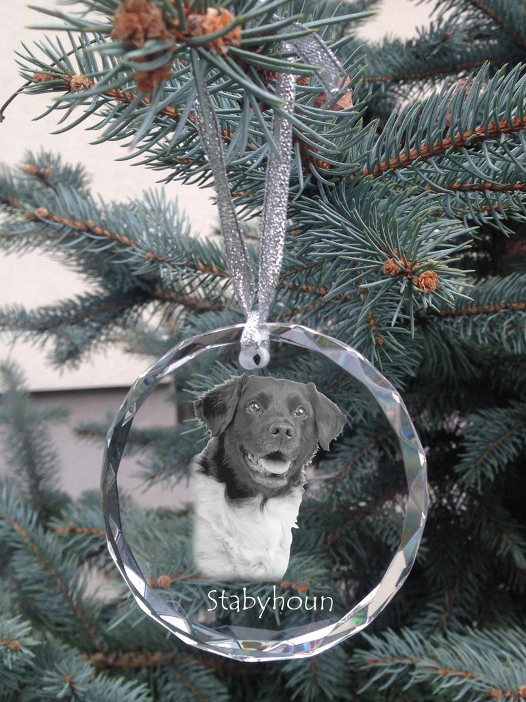 Stabyhoun, Stabijhoun, Fryske Stabij - Crystal Bauble with a Photo, Dog Photo In Crystal, Personalized Christmas Tree Ornament by Art-Dog Brand