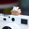 3D kreslený kryt sáněk fotoaparátu Roztomilý pro kočku DSLR Prachotěsný kryt sáněk pro DS