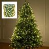 Christmas LED String Lights  Green Copper Wire Fairy Light Garland with USB Remote Control for Xmas Decoration