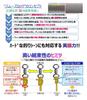 Toray Toyoflon Smooth Lock 50m 1.7