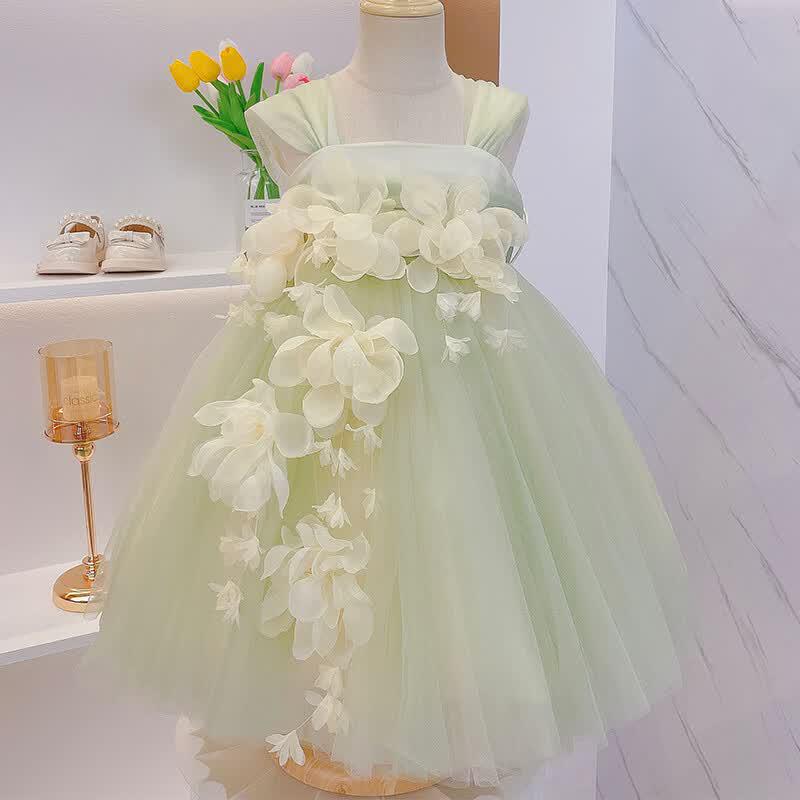Nisha Bei er Girls  Summer Floral Mesh Princess Dress 120
