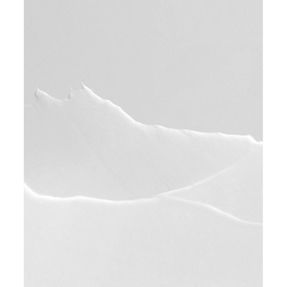 Bravity Daily Stem Cell Culture Lotion [single Item]