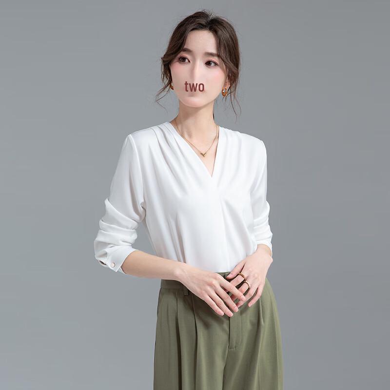 Women's Professional V-Neck Long Sleeve Chiffon Blouse