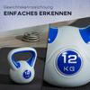 Kettlebell, 12kg Kettle Bells with Handle for Home Gym Weight Lifting and Strength Training, Dark Blue and Grey