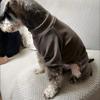 Winter Dog Clothes Jumpsuit Pajamas Puppy Pet Apparel Costumes Yorkie Pomeranian Poodle Bichon Schnauzer Dog Clothing Rompers