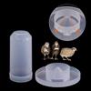 Automatic for Chicken Parrot Water Dispenser Pigeon Feeder Pigeon Food Box Bird Drinking Fountain