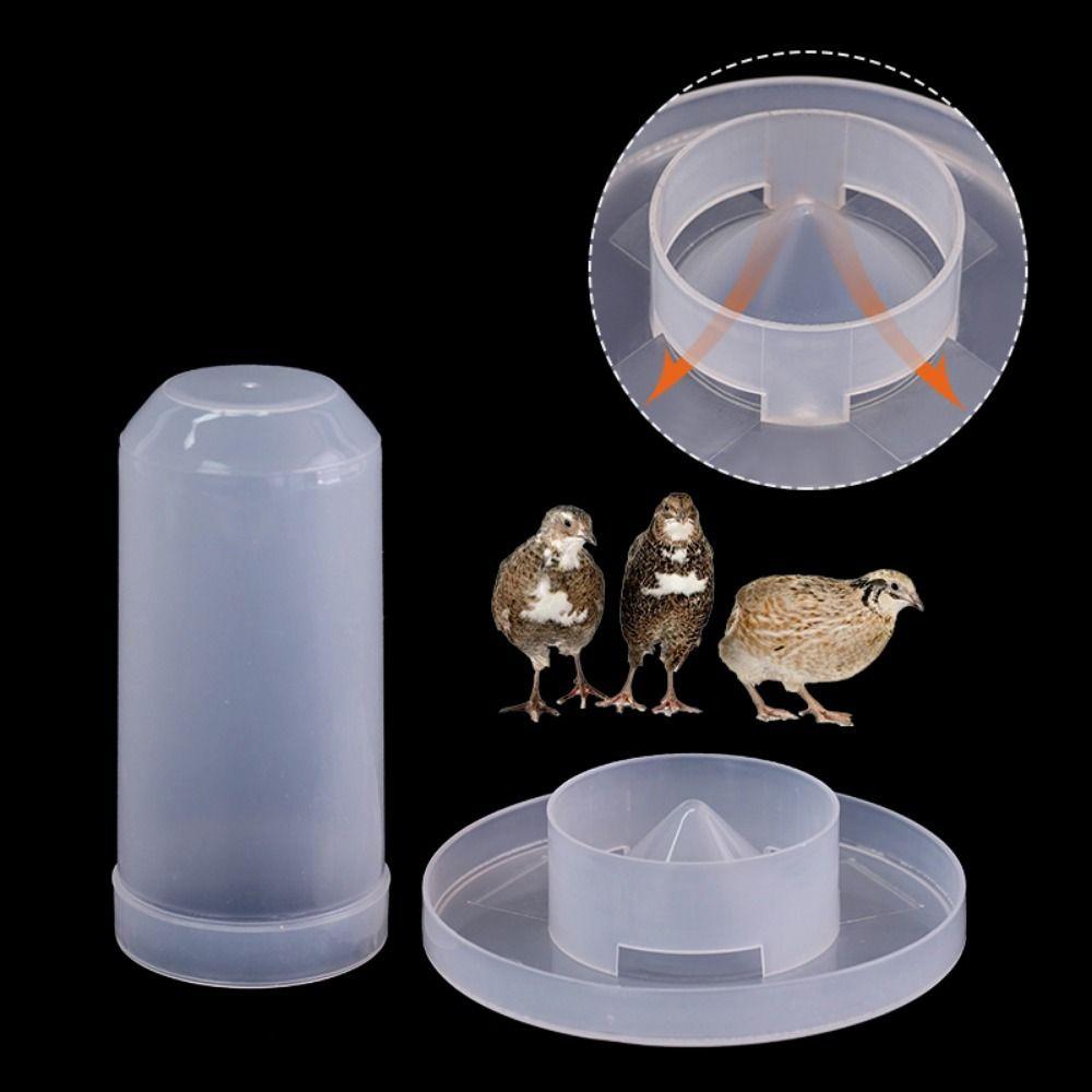 Transparent Automatic for Chicken Dove Parakeet Pigeon Food Box Parrot Water Dispenser Pigeon Feeder Bird Drinking Fountain