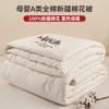 All Cotton Xinjiang Cotton Handmade Quilt Core