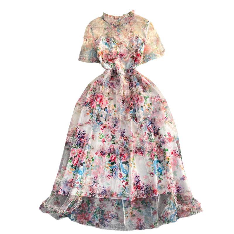 Accessible Luxury A- line Gauzy Dress Elegance Dress Short Sleeve