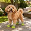 Adjustable Dog Mesh Shoes Soft Dog Foot Covers Summer Dog Shoes for 4PCS/SET Spring Summer