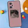 Pink Aesthetic Cute Cat Animal For Realme GT7 Pro GT 6T 6 5 C67 C61 C55 C53 C51 C21Y C25S C75 10 11 12 13 14 Pro Plus Case